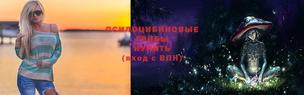 МДПВ Нефтегорск