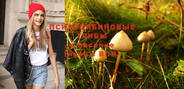 МДПВ Нефтегорск