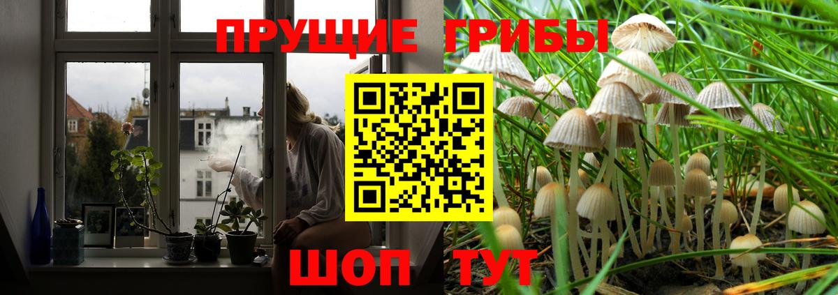 Псилоцибиновые грибы прущие грибы Белореченск