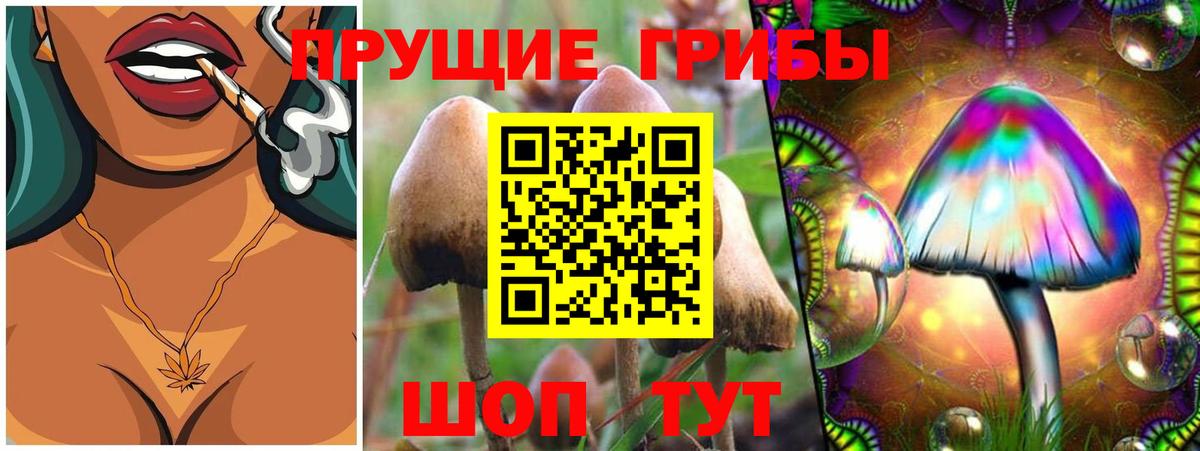 Псилоцибиновые грибы ЛСД  наркота  Галлюциногенные грибы MAGIC MUSHROOMS  Белореченск 