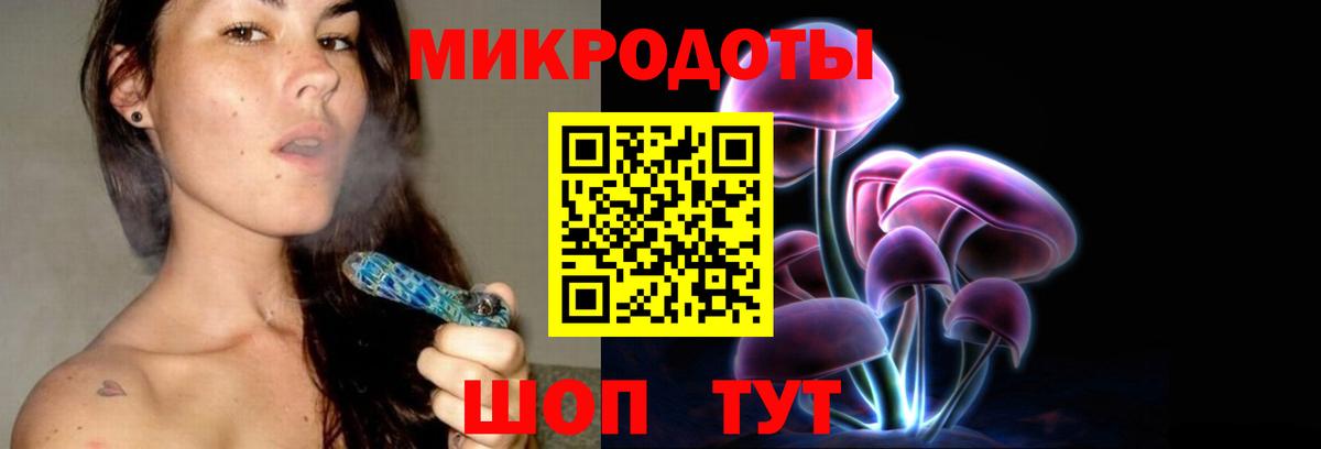 Псилоцибиновые грибы Cubensis Белореченск